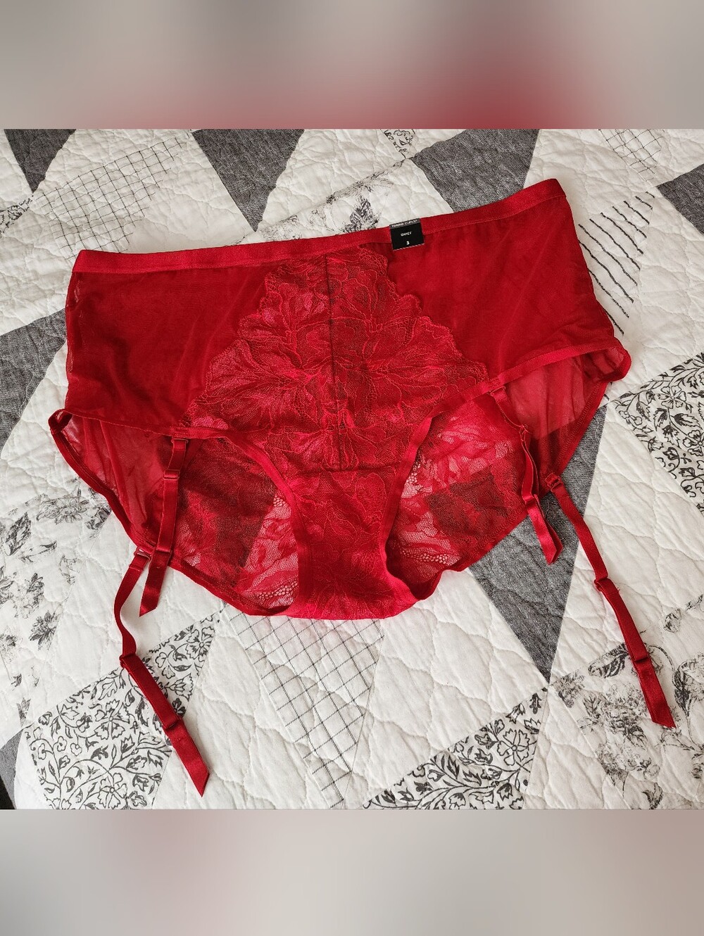 Red Lace Garter Panties NWT